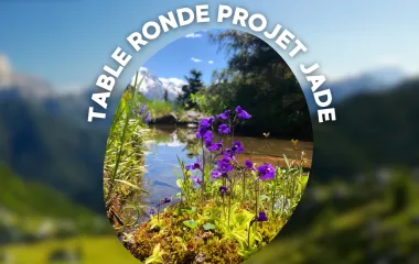 jade_table_ronde4.png